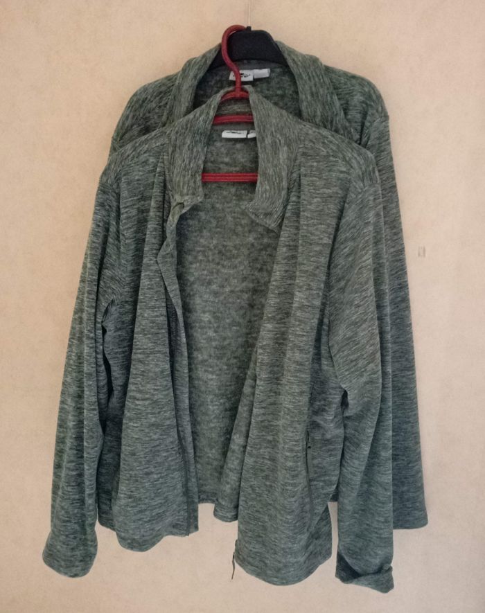 Vestes polaire fine gris clair