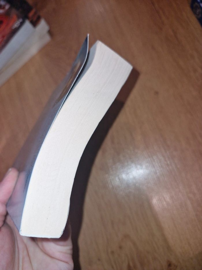 Philippe Pullman / a la croisée des mondes 1 / les royaumes du nord - photo numéro 6