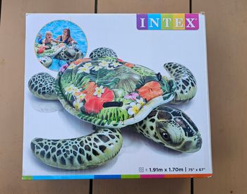 bouée tortue intex
