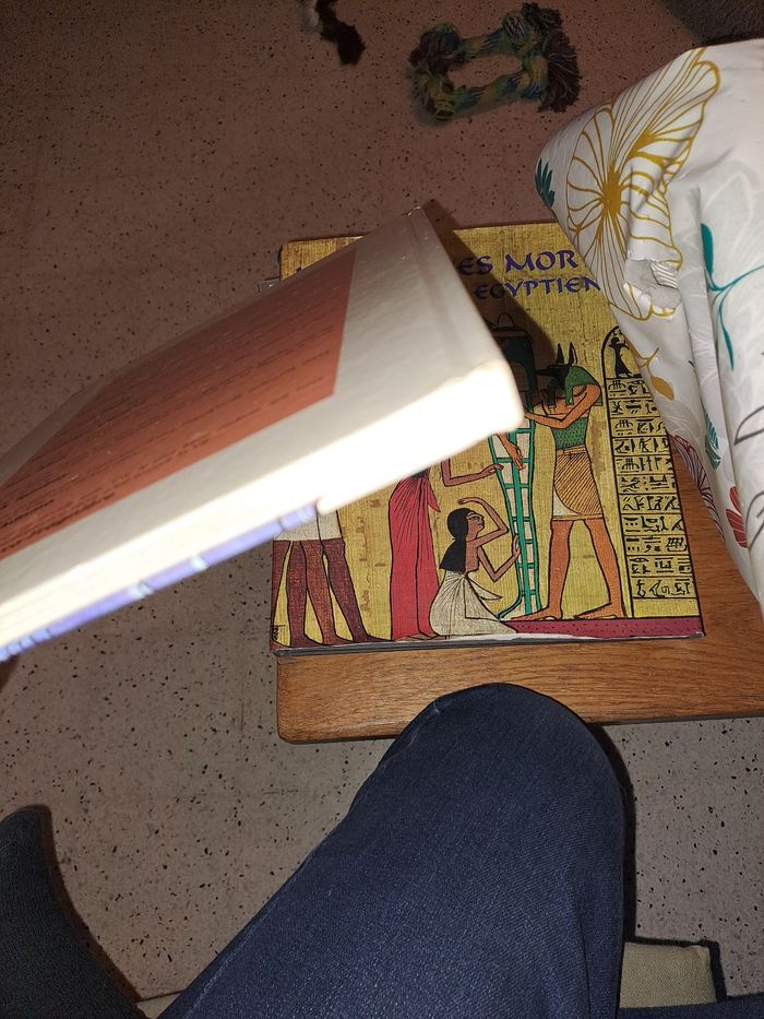 Jo, derib - photo numéro 4