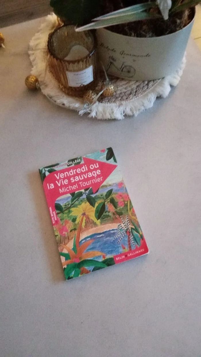 Livre collége Vendredi ou la vie sauvage
