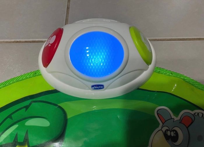 Marelle de la jungle - photo numéro 4