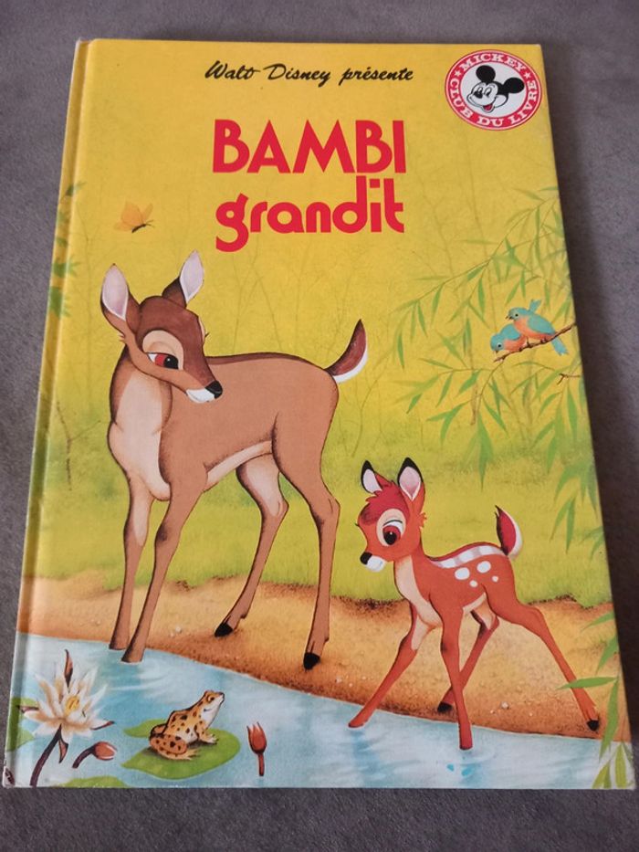 Livre disney