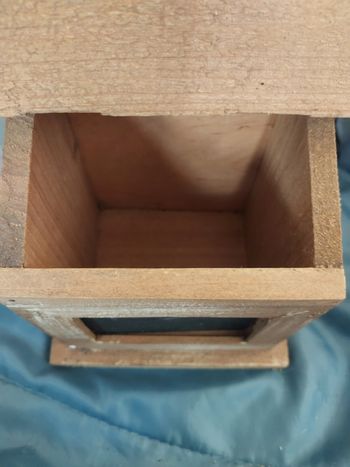 Boite en bois  motif chats