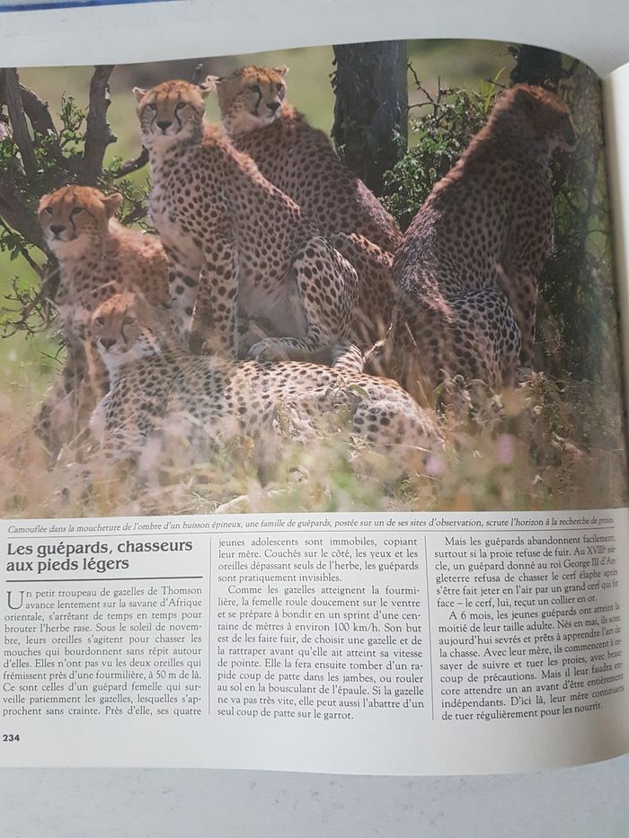 La vie sauvage au fil des saisons - photo numéro 3