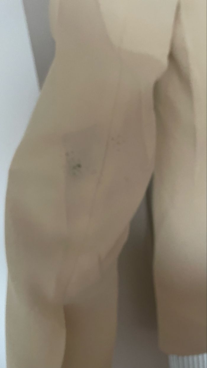 Blazer - photo numéro 5