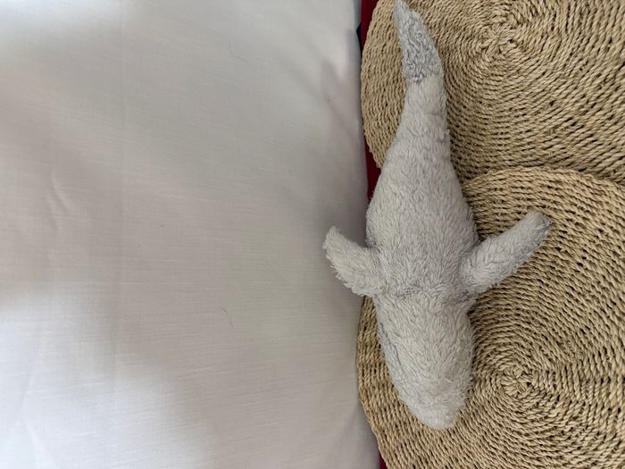 Peluche grand requin blanc - photo numéro 3