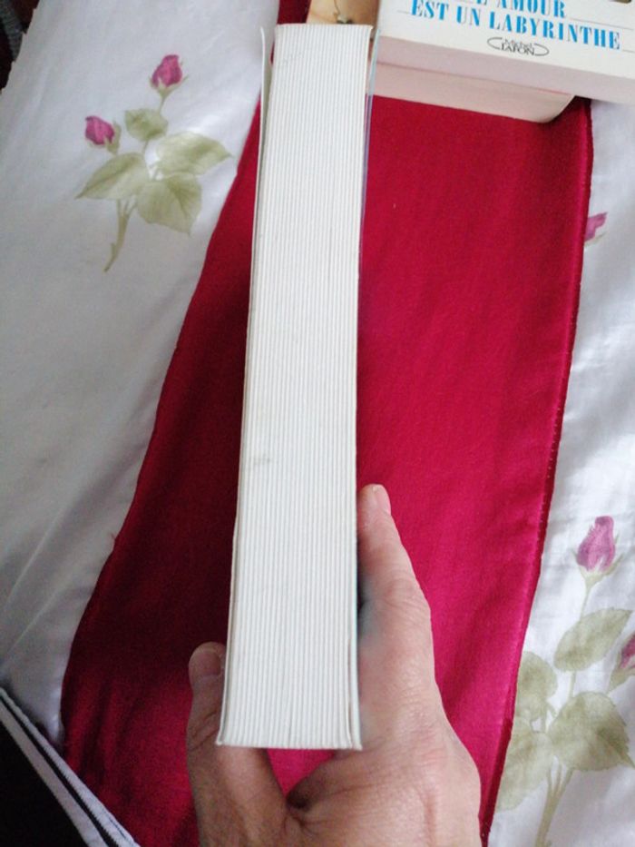 L étrange cas de l assassinat de Katie la fêlée - photo numéro 4