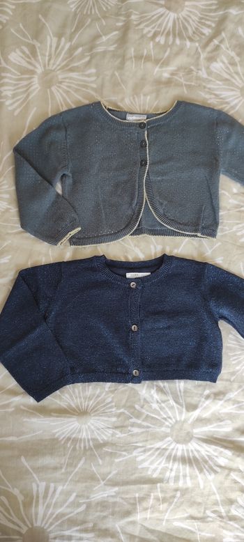 Lot 2 gilets 24 mois