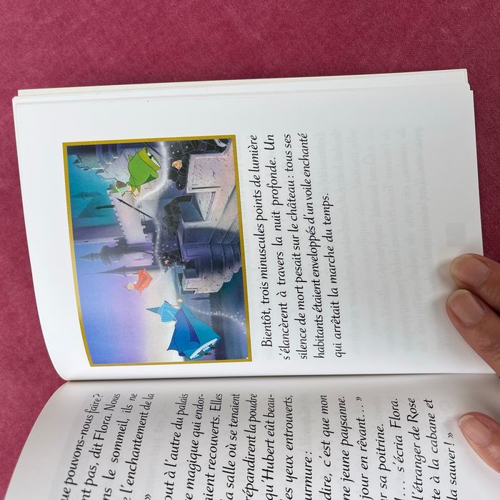 4 livres de  Disney  princesse  avec le coffret . - photo numéro 8