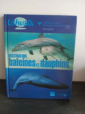 Destination baleines et dauphins