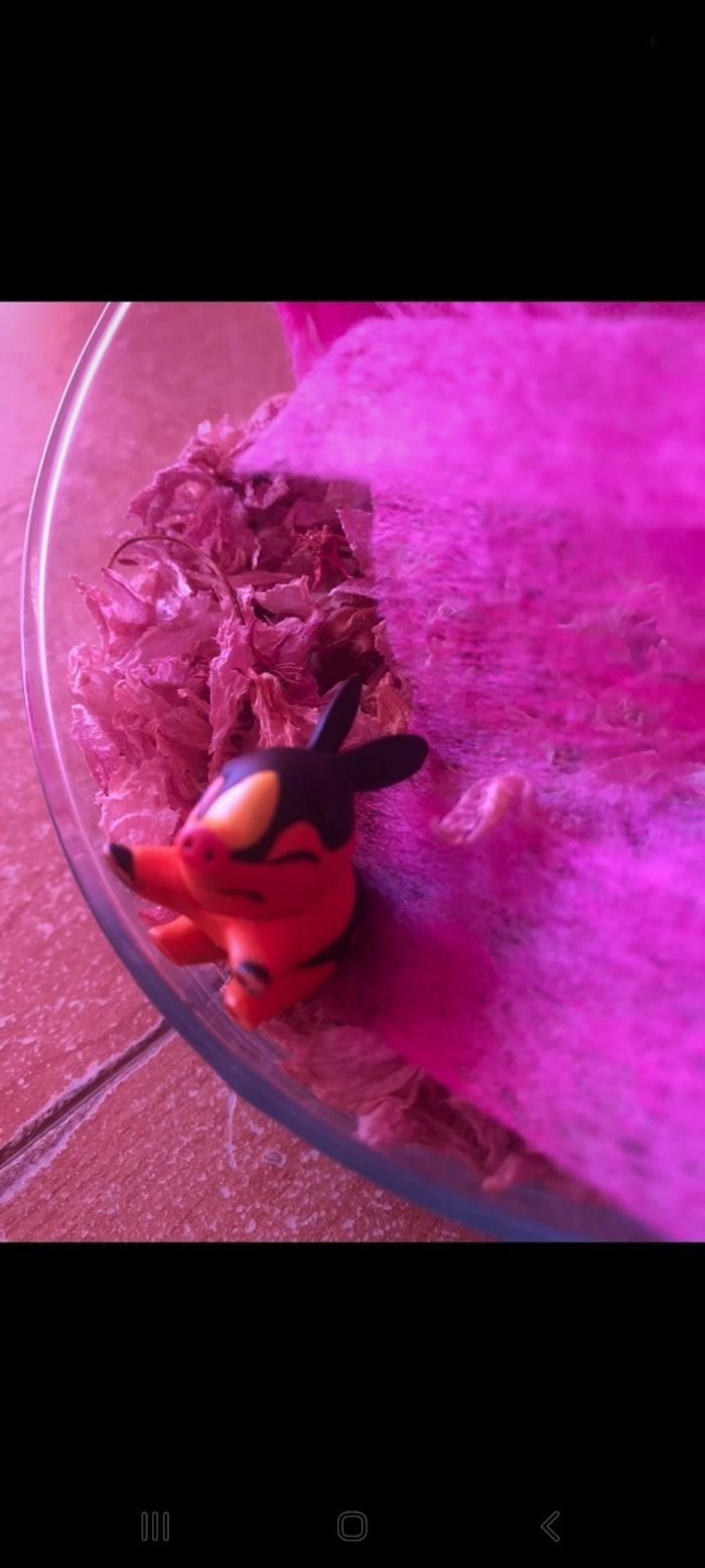 Figurine pokémon gruikui - photo numéro 3