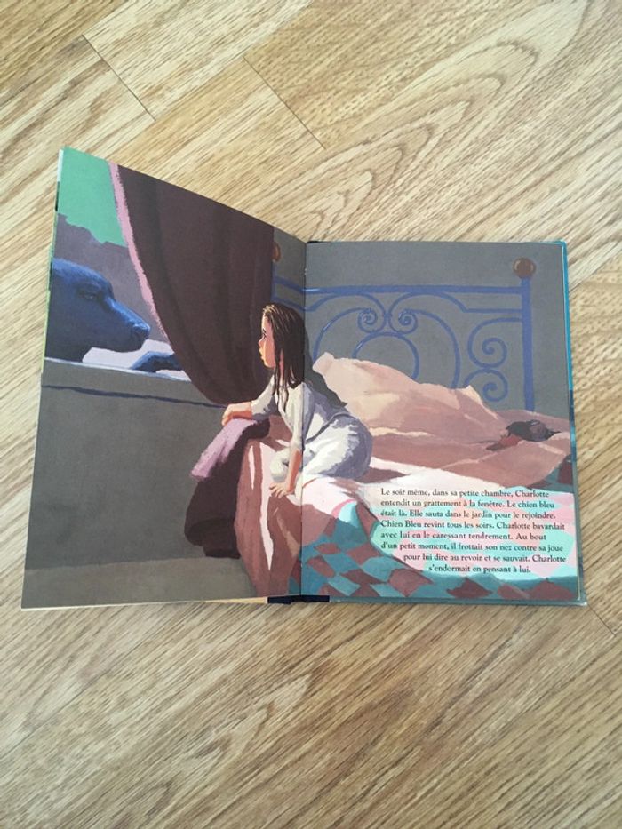 Chien bleu - photo numéro 4