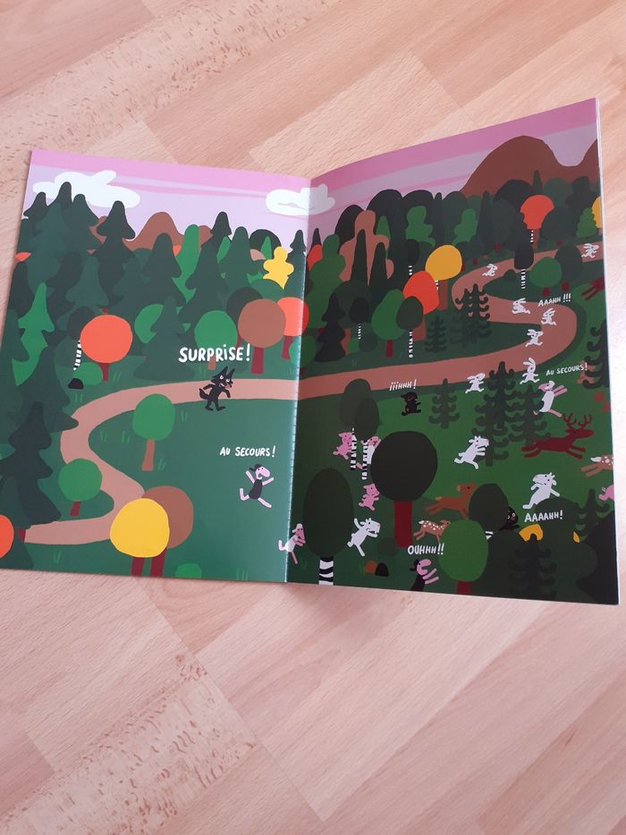 Livre cache-cache surprise - photo numéro 3