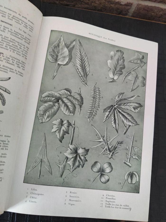 Nouvelle Encyclopédie autodidactique illustrée d'enseignement moderne - Tome 1 - photo numéro 5