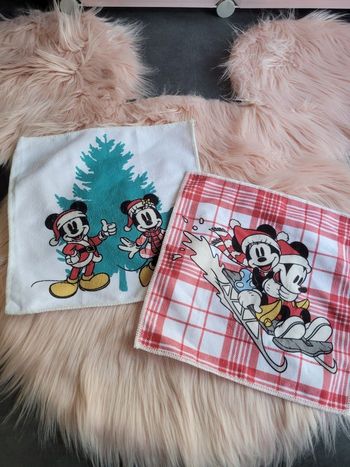 2  microfibres disney