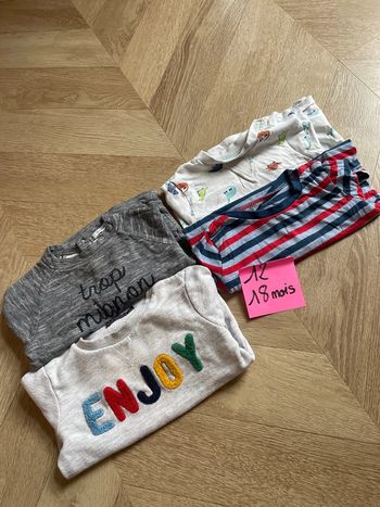 Lot t-shirt et pull 12 18 mois