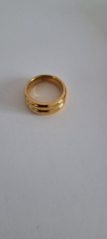 Double anneau inoxydable