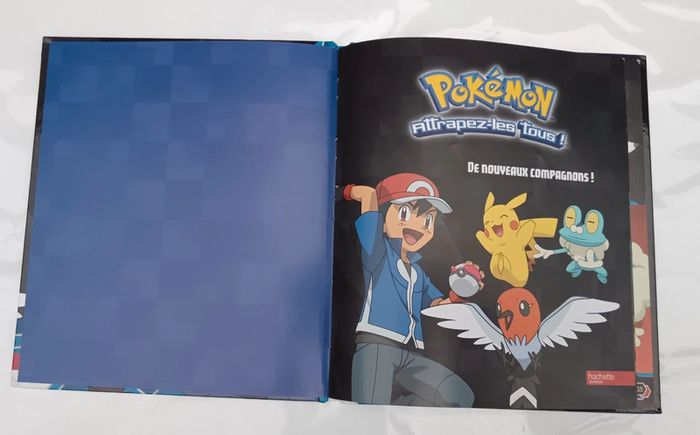 Pokémon la série XY de nouveaux compagnons - photo numéro 2