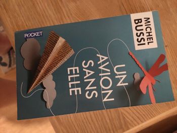 Un avion sans elle - michel bussi