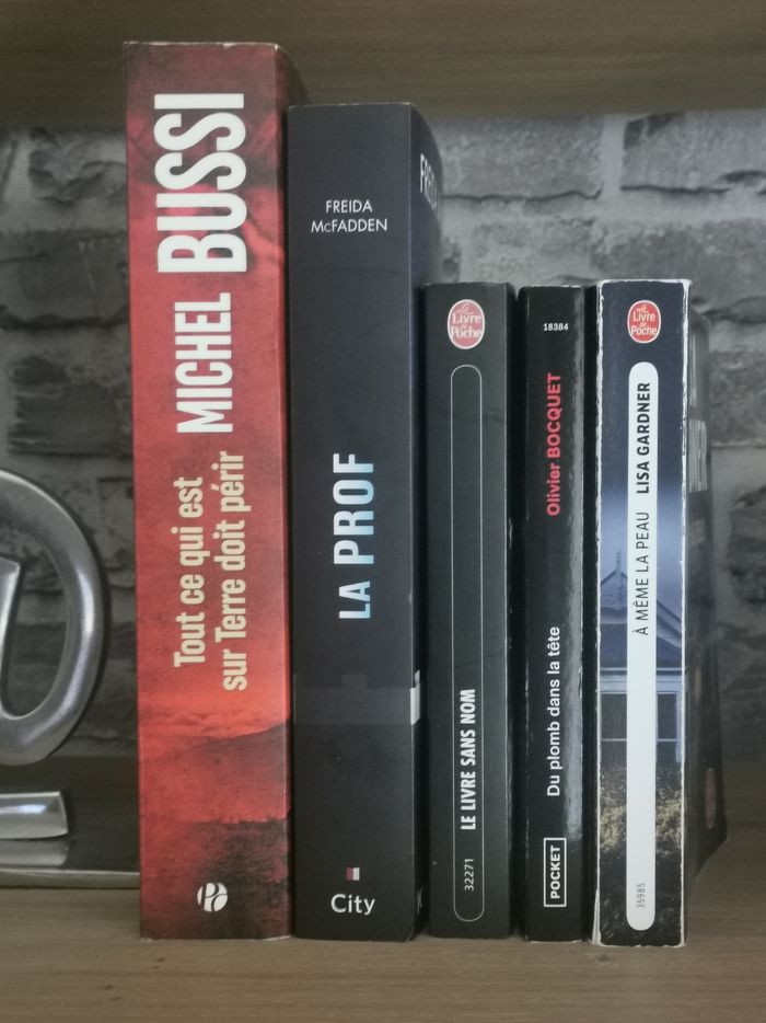 6 Thrillers - La prof de Freida McFadden - Michel Bussi - Lisa Gardner - photo numéro 3