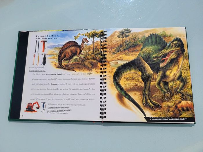 Livre animé de flaps Mi-oiseaux, mi-dragons, les dinosaures, Gallimard Jeunesse (47) - photo numéro 4