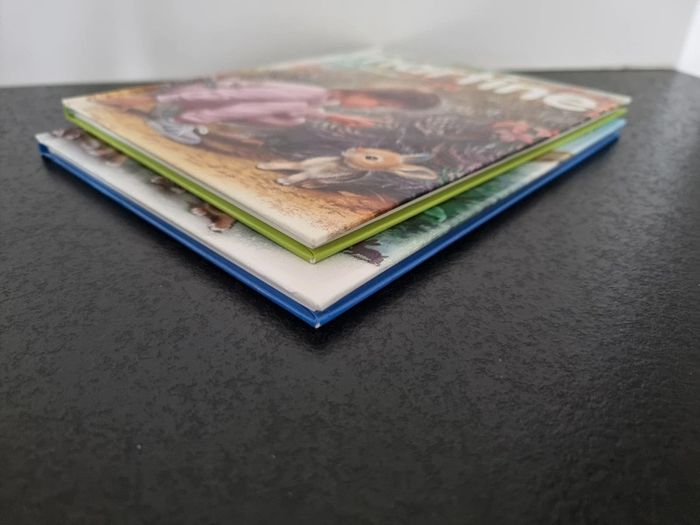 Lot de 2 livres Martine - photo numéro 6