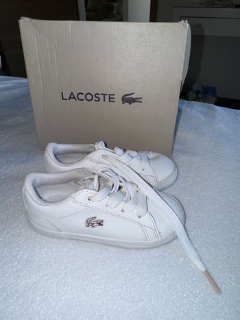 Basket Lacoste 