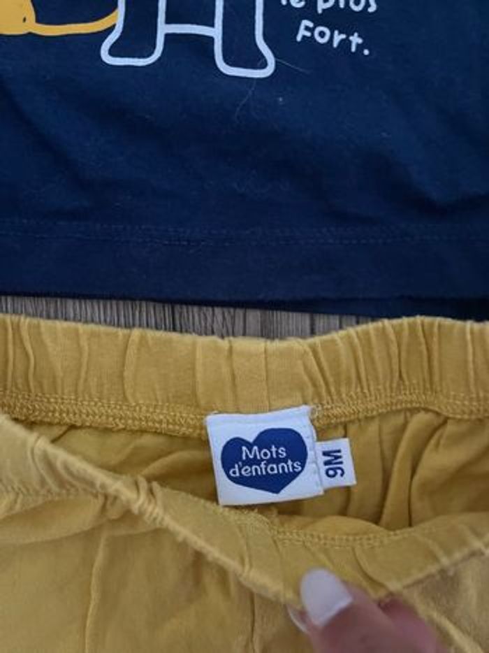 Ensemble - photo numéro 2