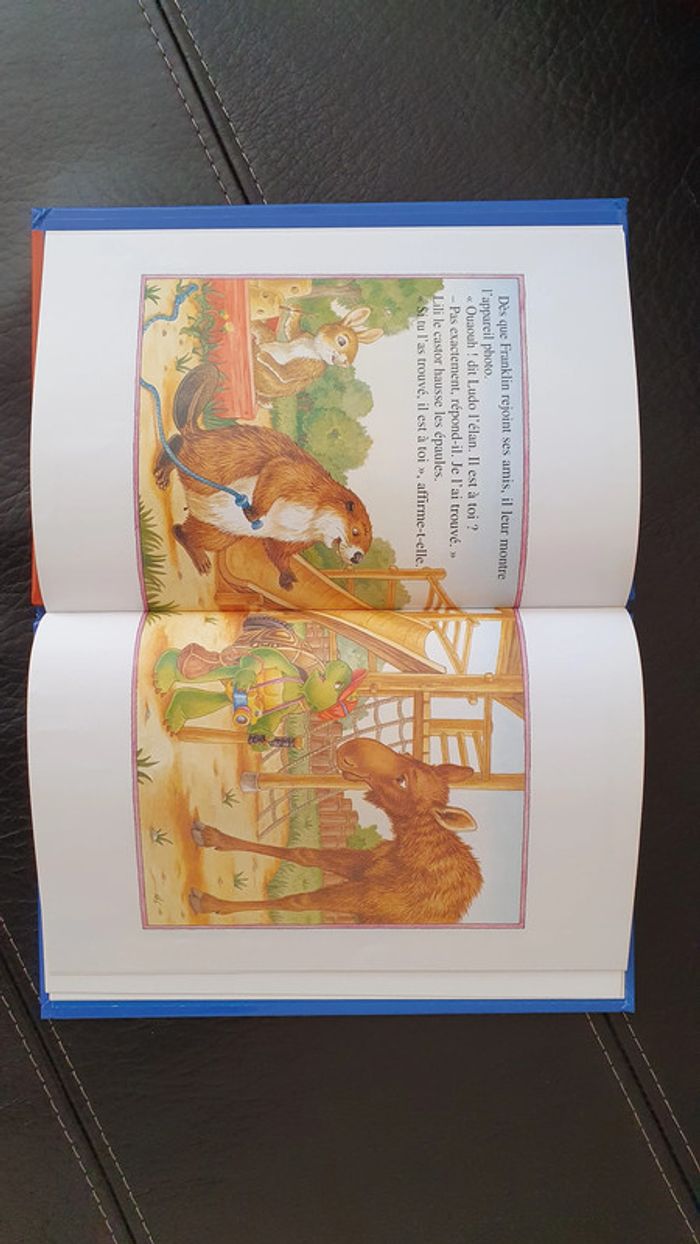 Livre " Franklin et l'appareil photo " , collection la bibliothèque Hachette des Petits. - photo numéro 9