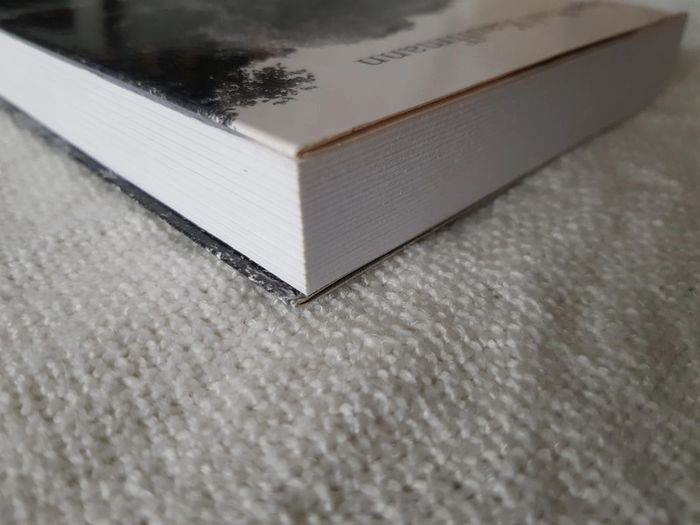 Livre Remonter la Marne de jean Paul Kauffmann - photo numéro 5