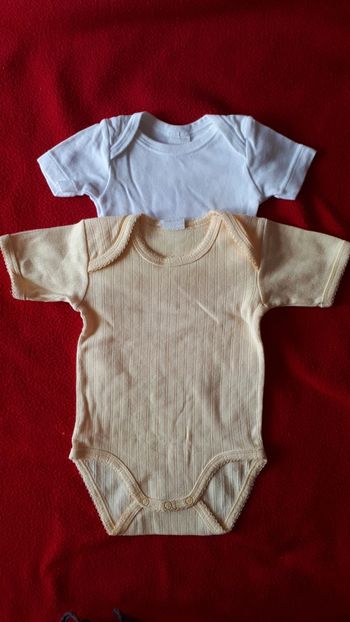 Lot de 2 bodies 6 mois