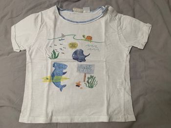 Tee-shirts Zara boys