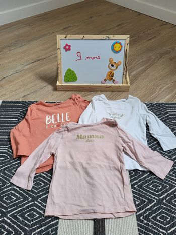 Lot de tee shirt