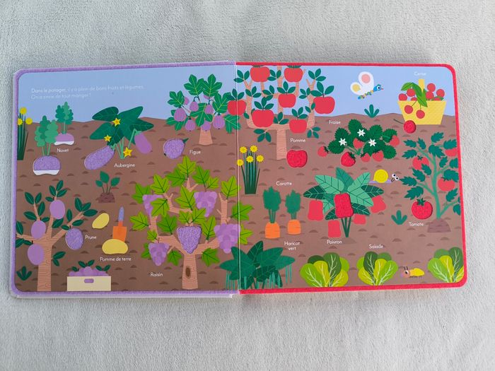 Livre Touche, découvre à la ferme Fleurus - photo numéro 4