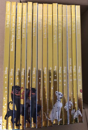 Collection hachette Disney 15 livres