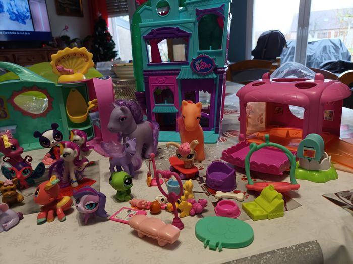 Pet Shop - photo numéro 3