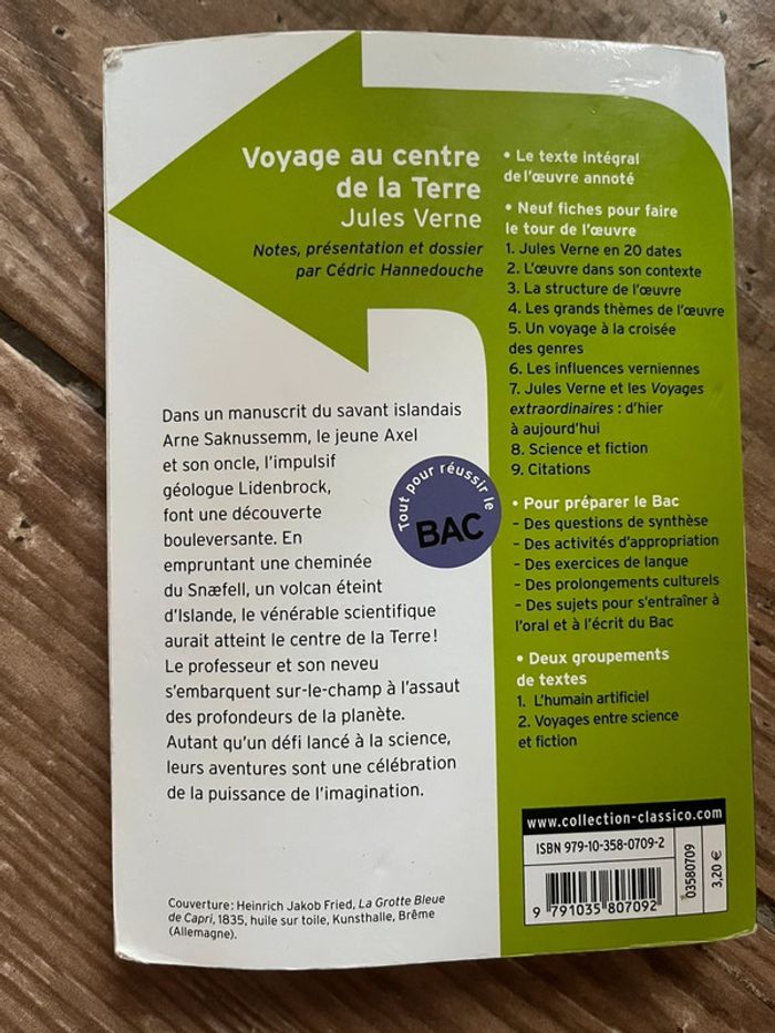 Livre Voyage au centre de la Terre Jules Verne - photo numéro 2