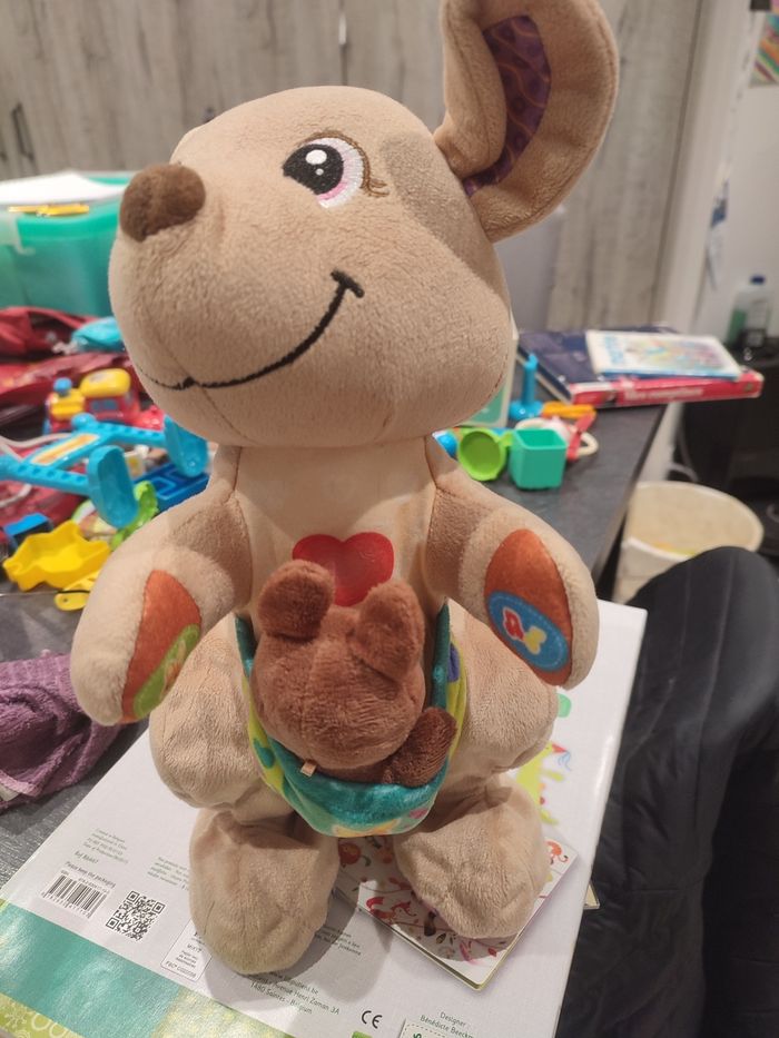 Kangourou sauteur - photo numéro 2