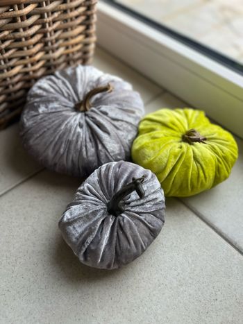 Citrouille de décoration