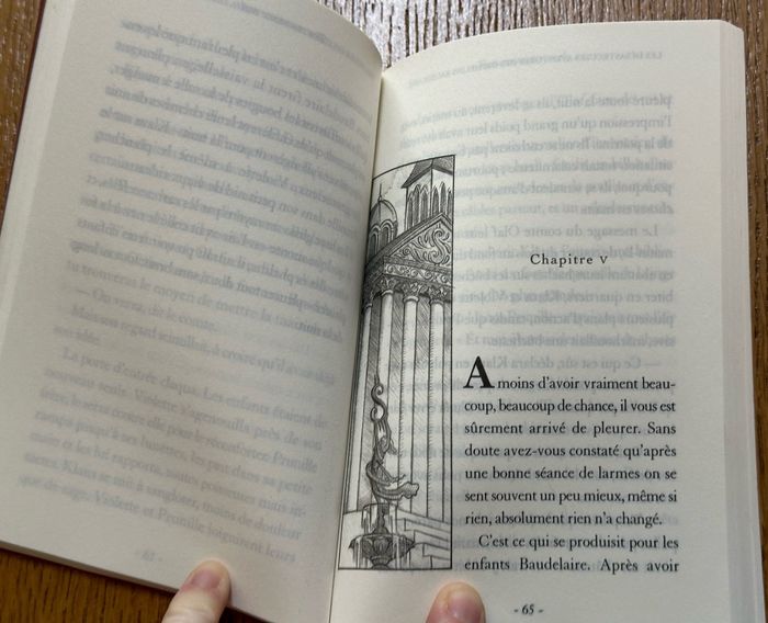 Livre "Les désastreuses aventures des orphelins Baudelaire. Vol. 01" de Lemony Snicket - photo numéro 3