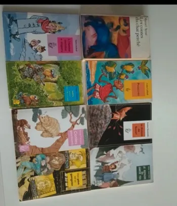 Livres pour enfants , romans jeunesse