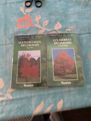 L essentiel en poche