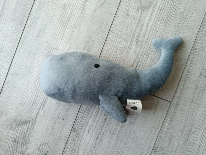Cale porte baleine 🐳 - photo numéro 2