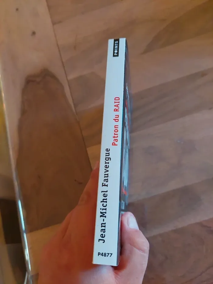 Patron du raid, de Jean-Michel Fauvergue - photo numéro 3
