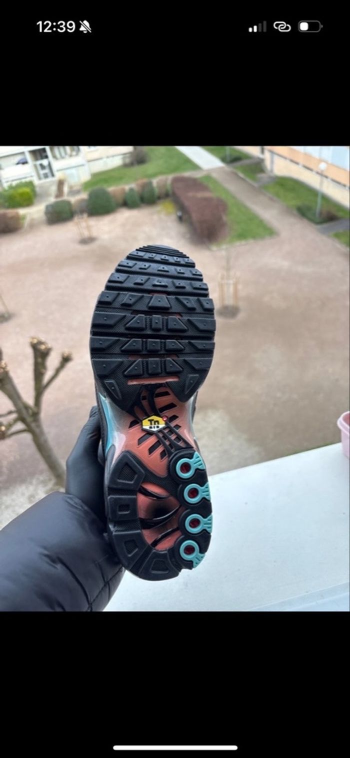 nike tn miami - photo numéro 5