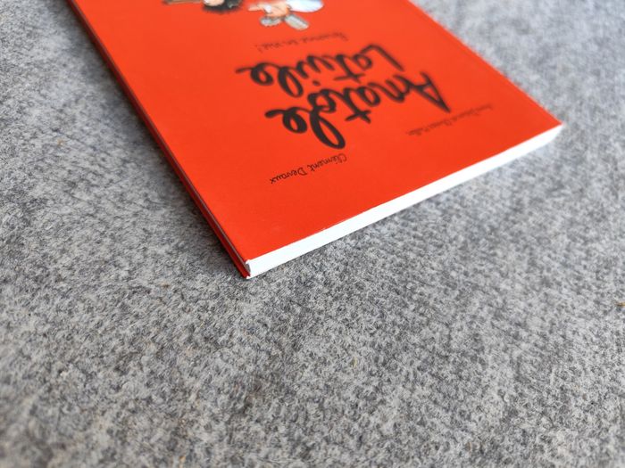 Bd livre Anatole Latuile tome 3 personne en vue - photo numéro 3