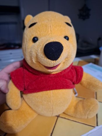 Lot winnie 
