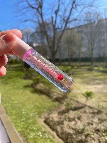 Lip gloss