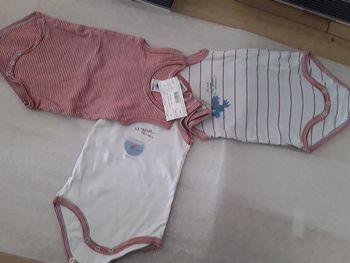 Lot de 3 bodys Petit Bateau